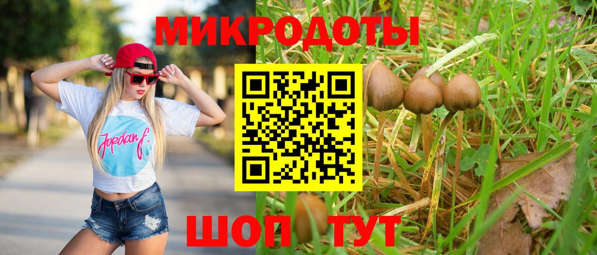Псилоцибиновые грибы Psilocybine cubensis Новокузнецк