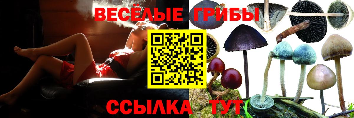 Галлюциногенные грибы мухоморы  Вход с VPN  Новокузнецк 